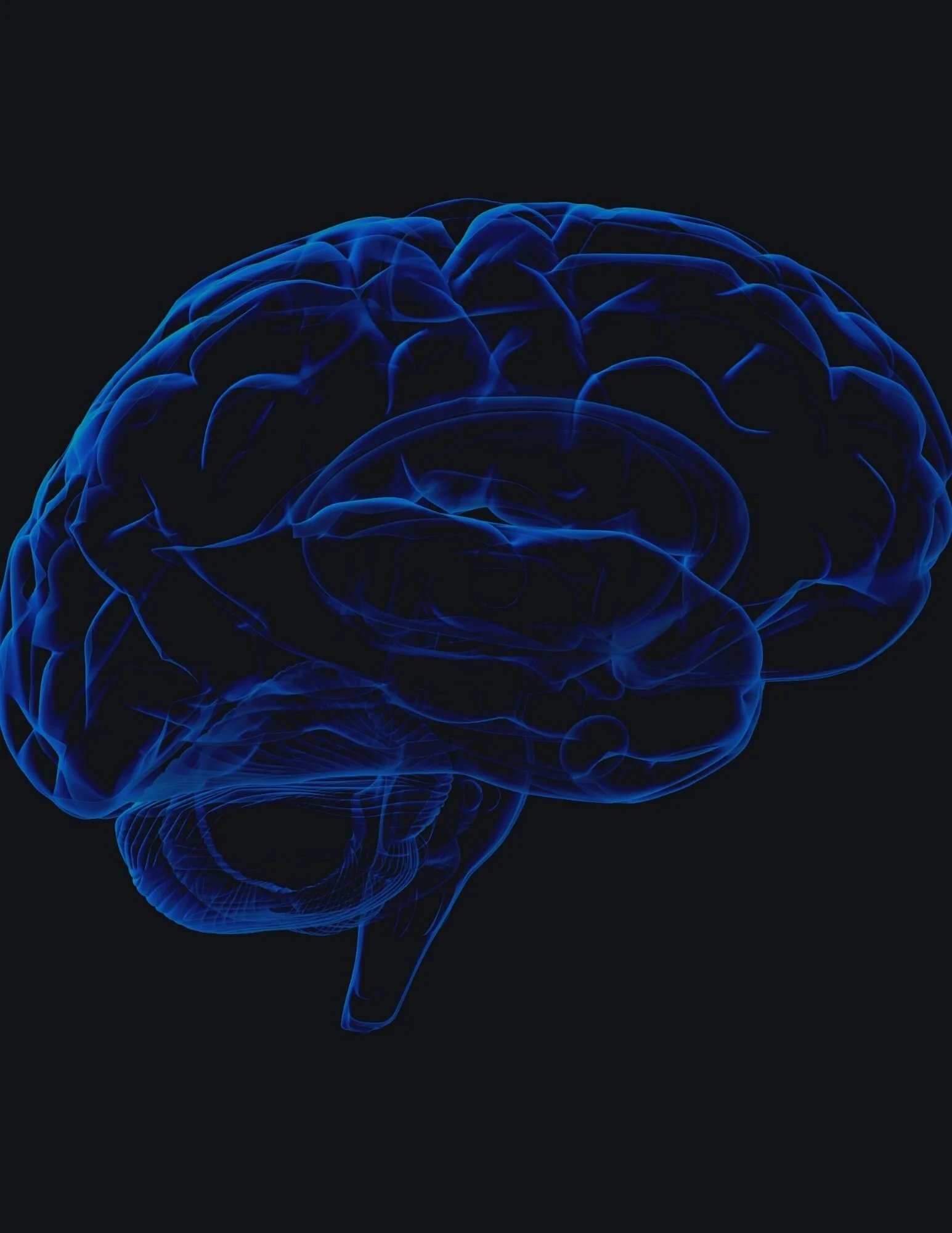 This Is Your Brain On Drugs