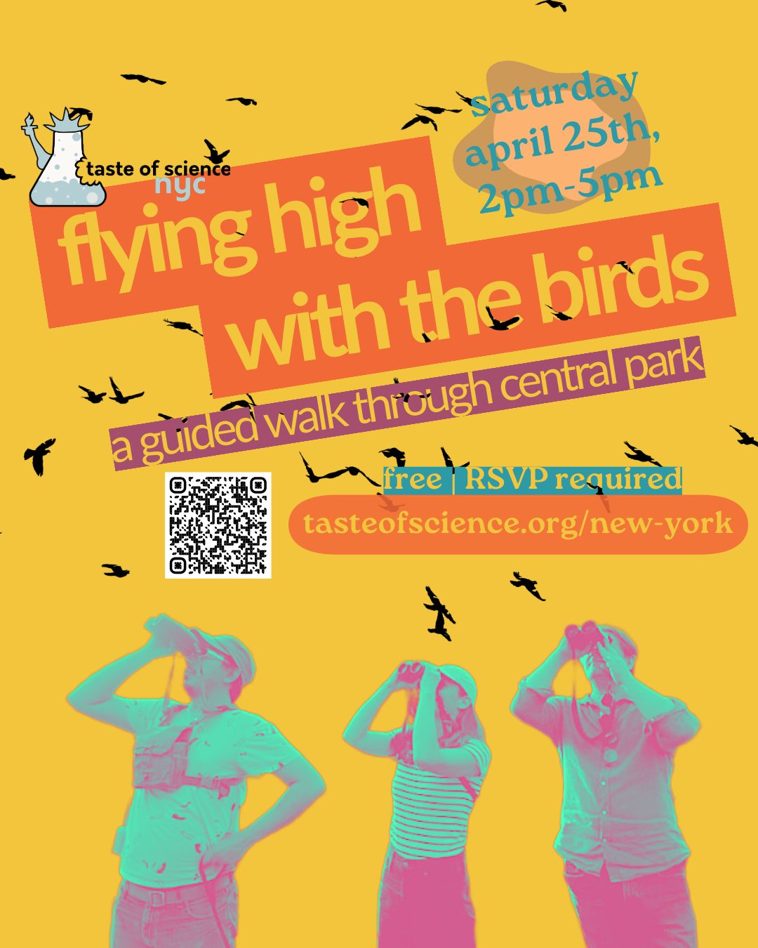 Flying High with the Birds