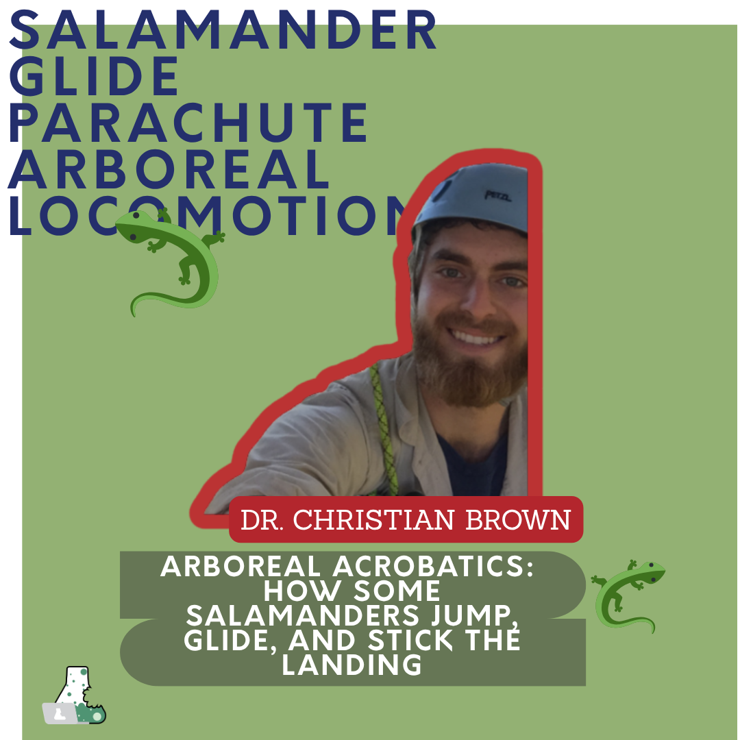 Arboreal acrobatics: How some salamanders jump, glide, and stick the landing (and why it matters)