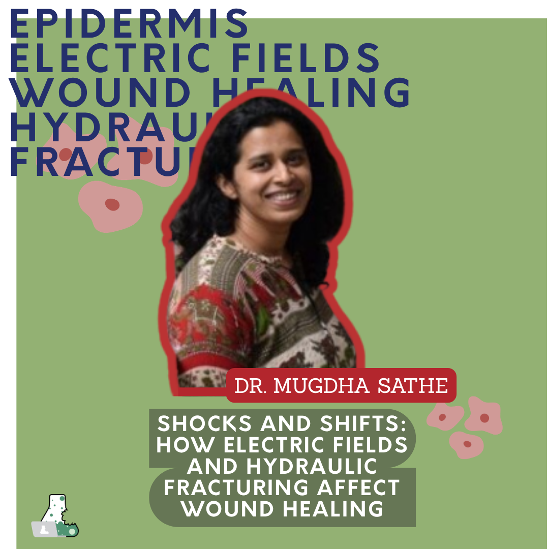 Shocks and Shifts: How Electric Fields and Hydraulic Fracturing Affect Wound Healing