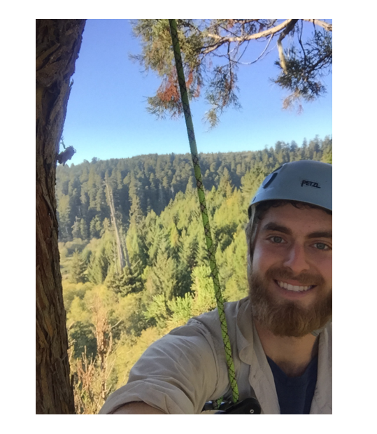 Christian is seen hanging from a rope in a tree canopy, wearing a helmet