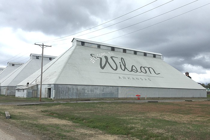 Wilson-3.jpg
