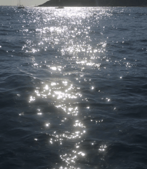 ezgif.com-crop copy.gif