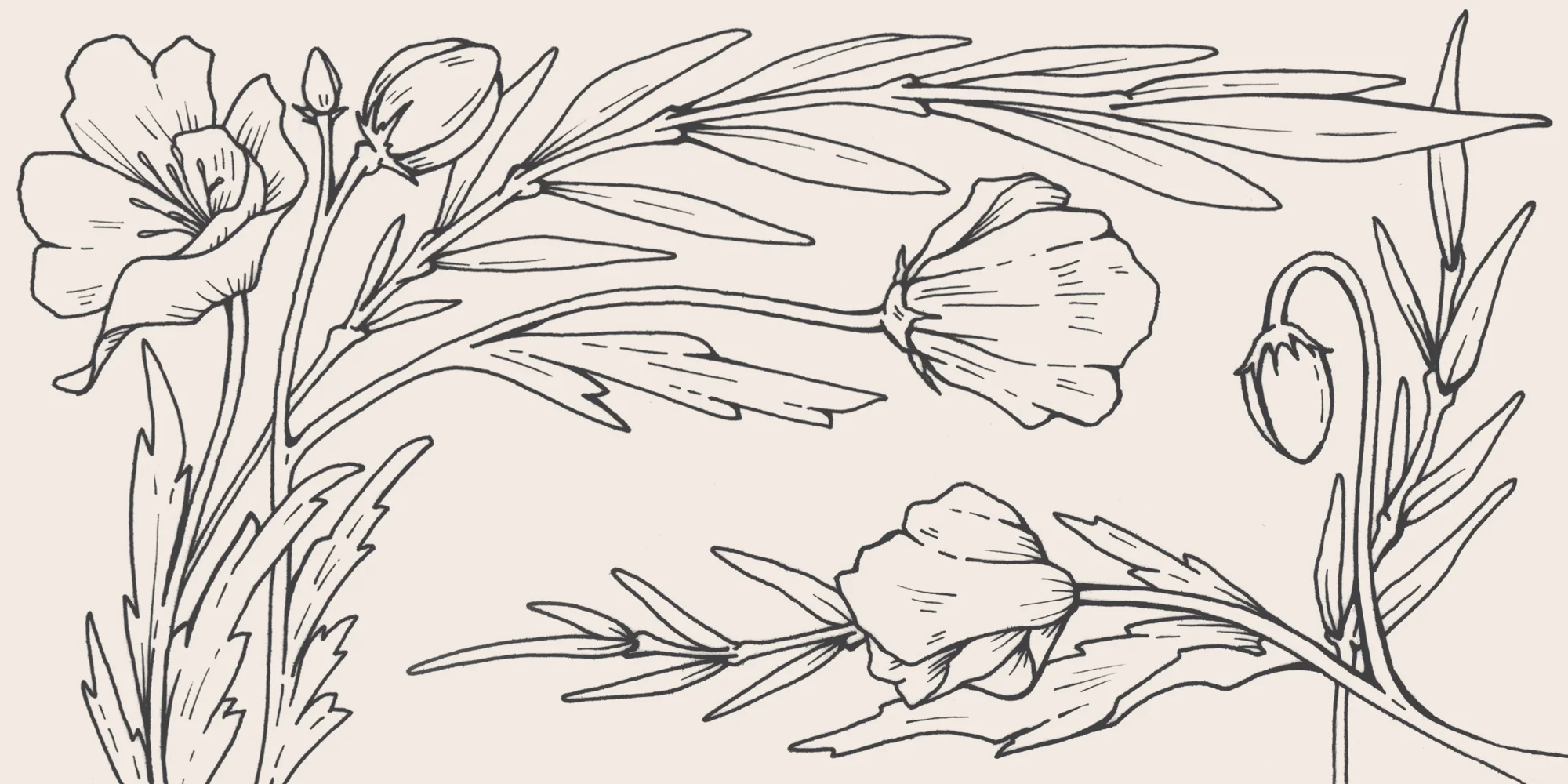 Floral Banners_M+R.jpg