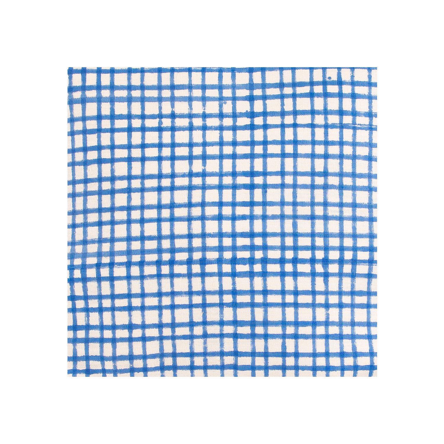 blue_fishnet.jpg