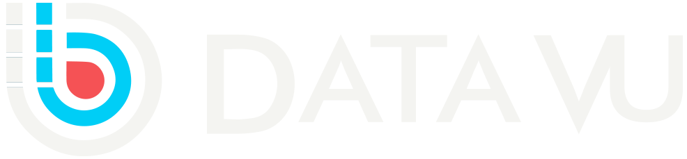 Data Vu