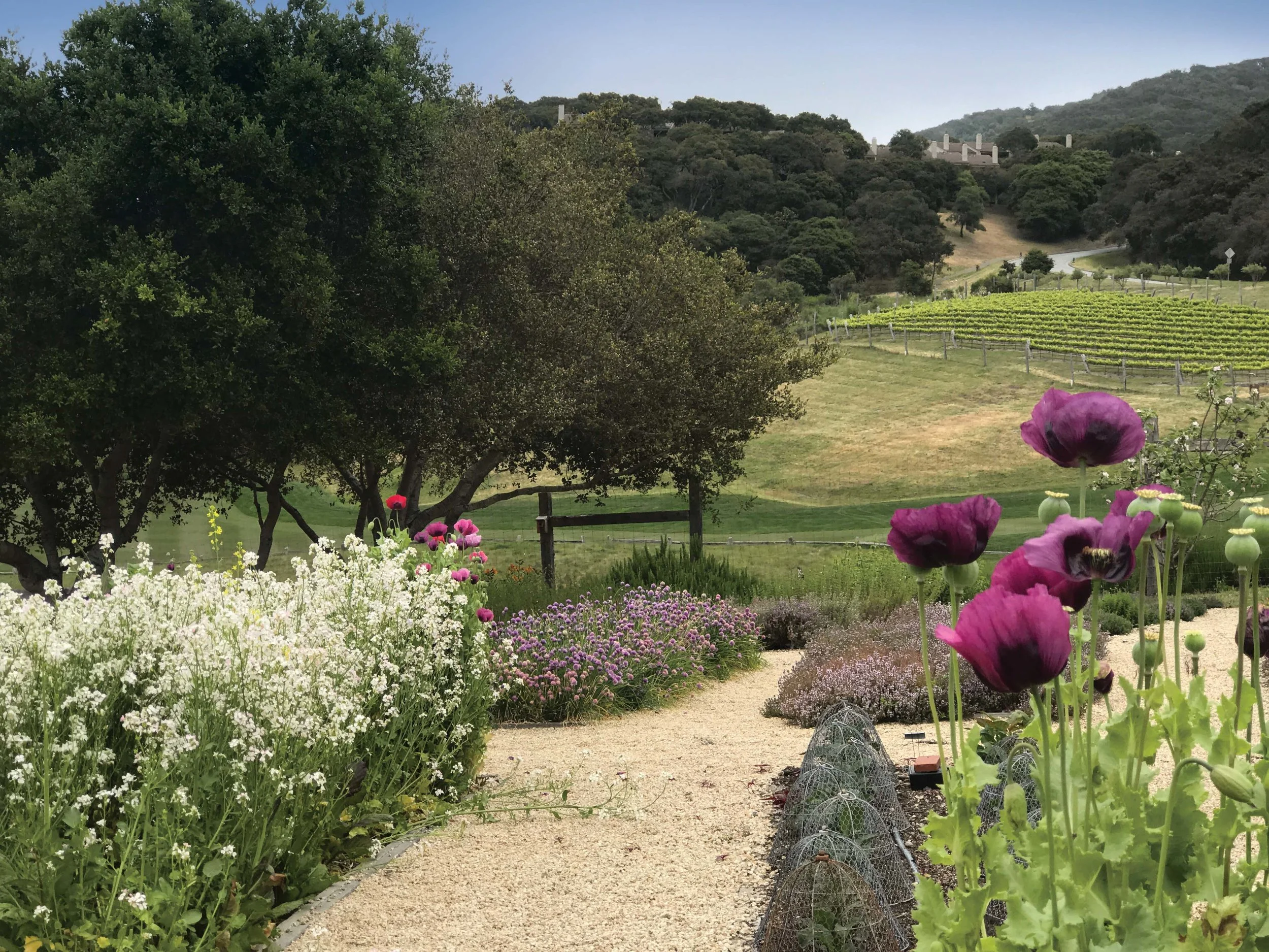 RanchScene_OrganicGarden_Sm.jpg