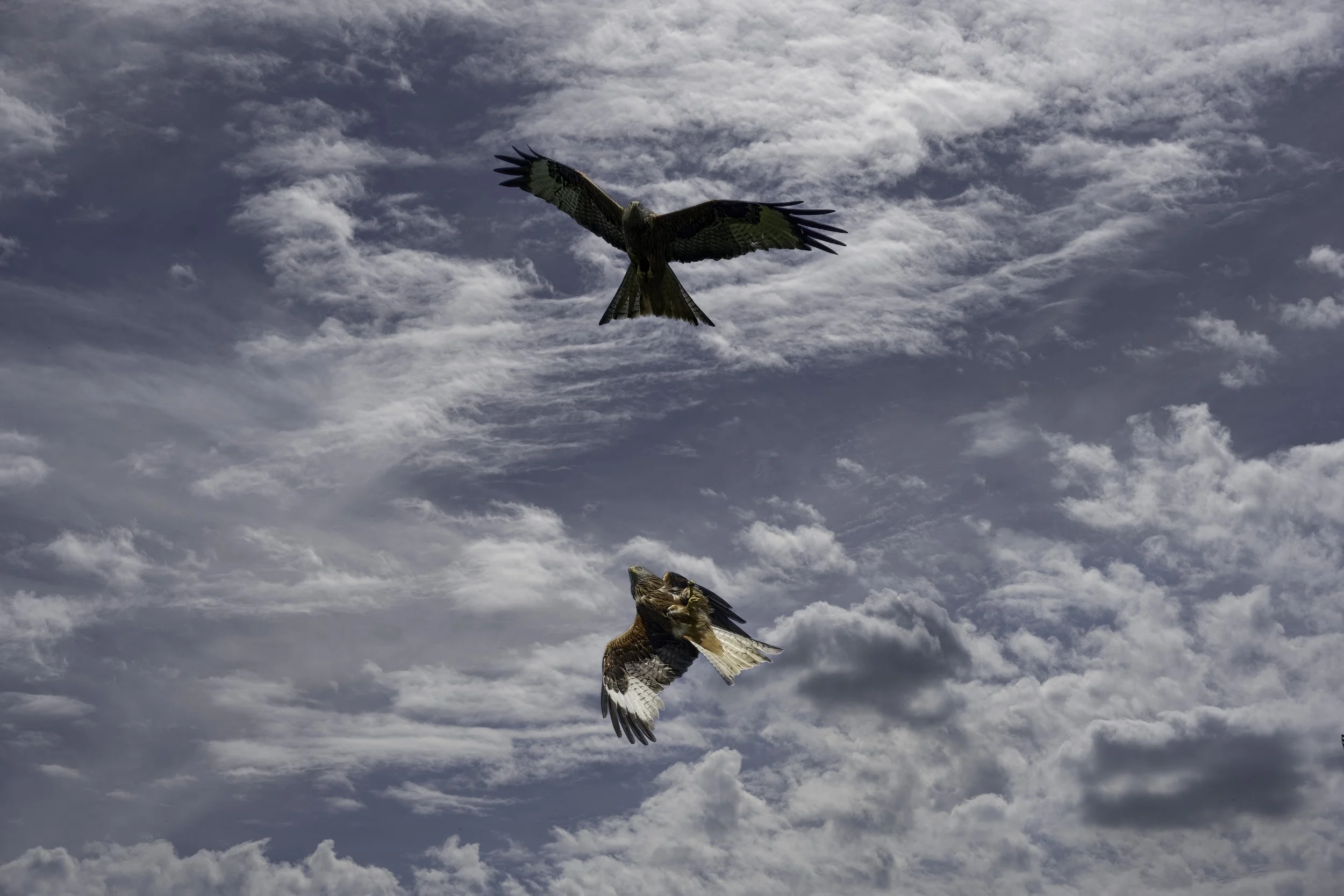 South Oxfordshire Sky