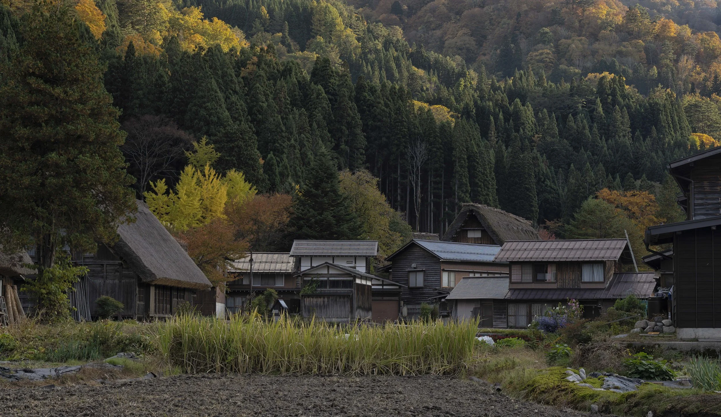 Shirakawago