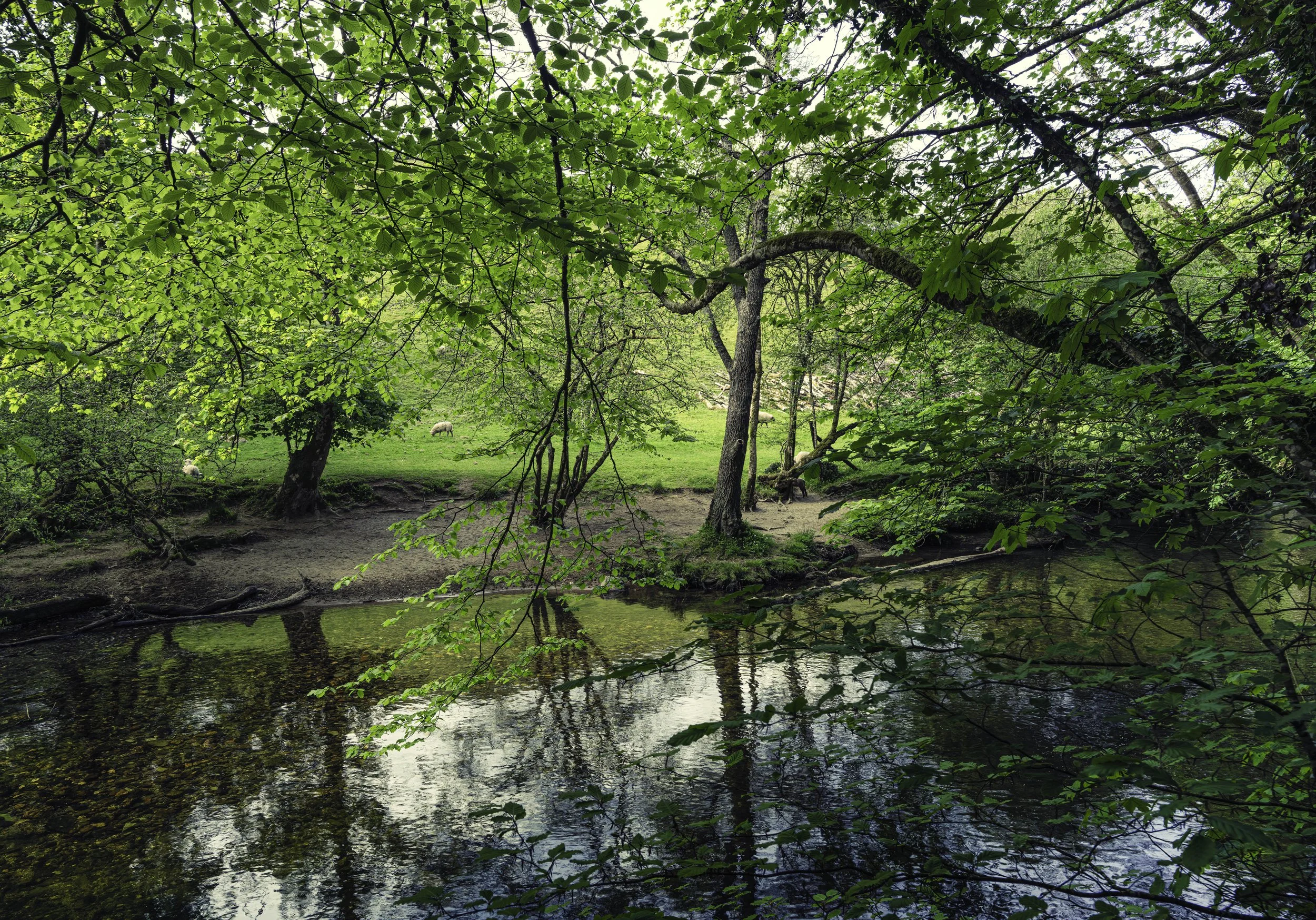 Aune Valley in May 2