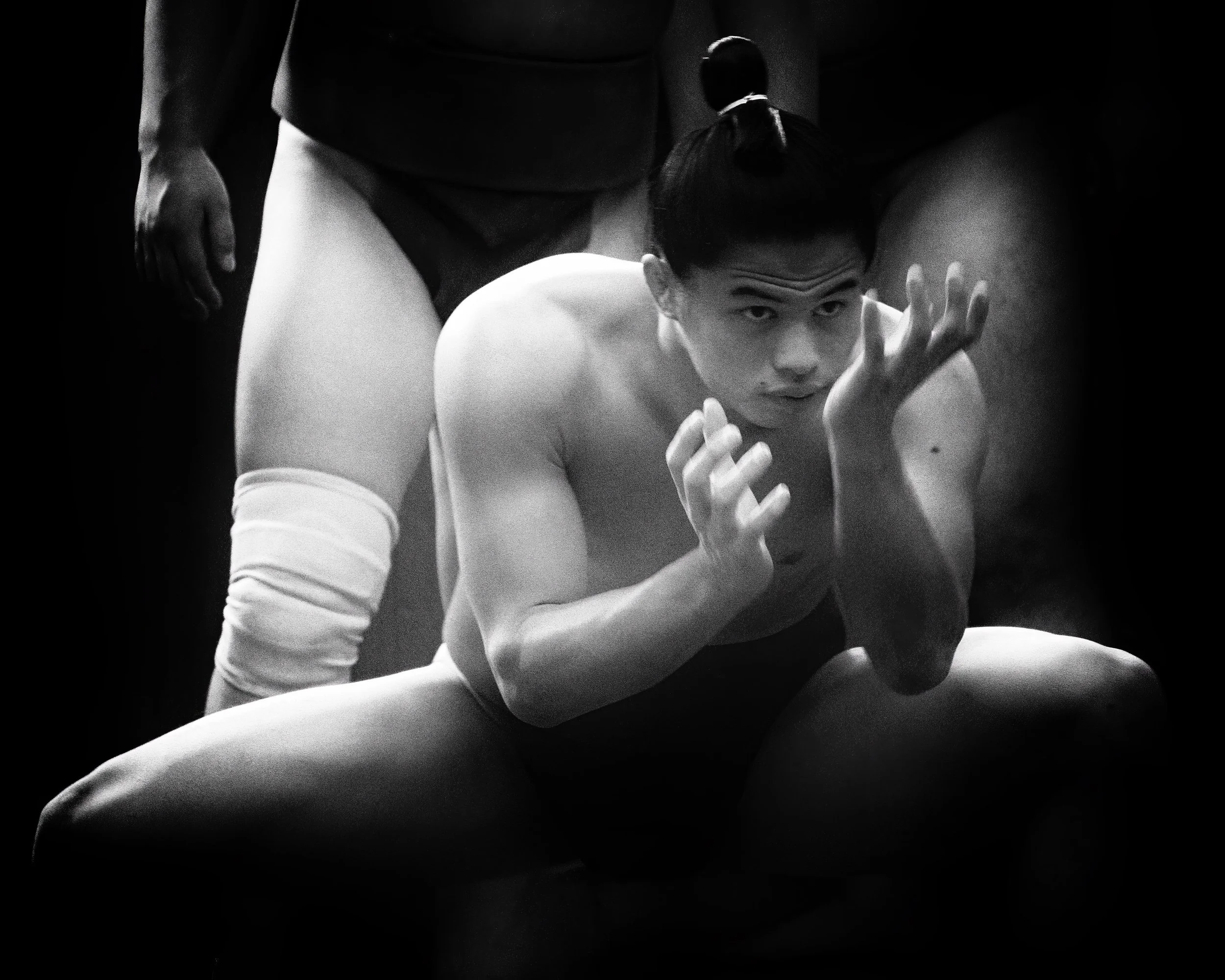 Rikishi - Dewanoumi-beya