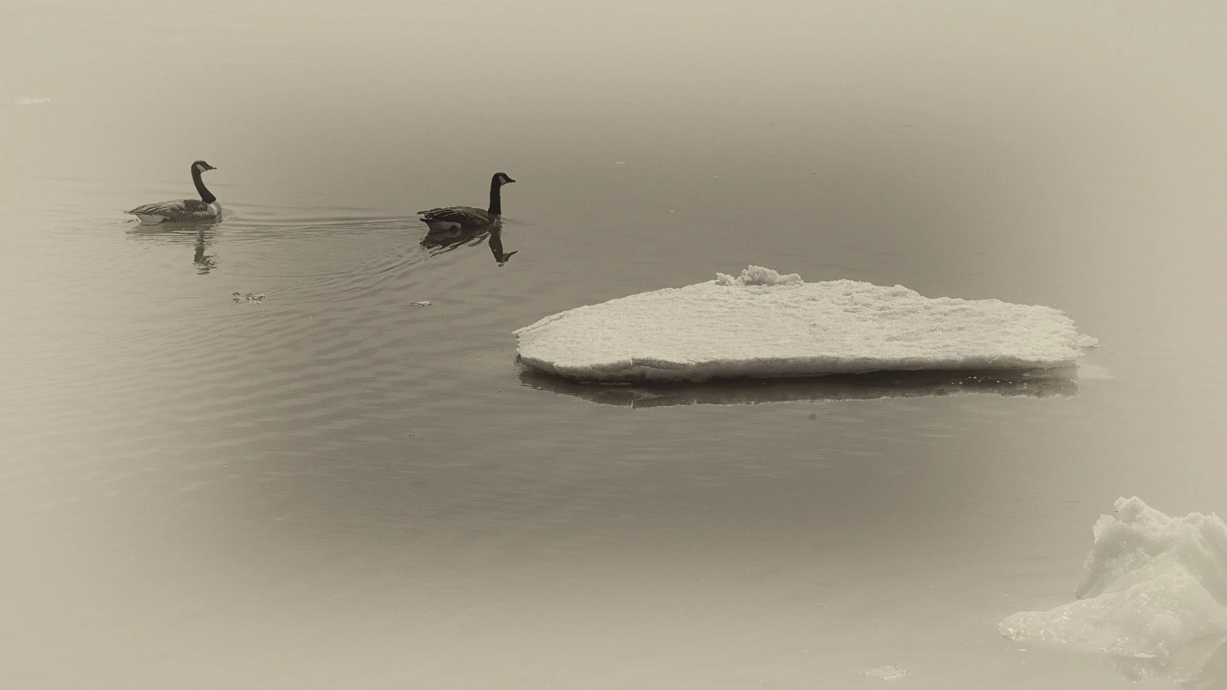Canadian Spring
