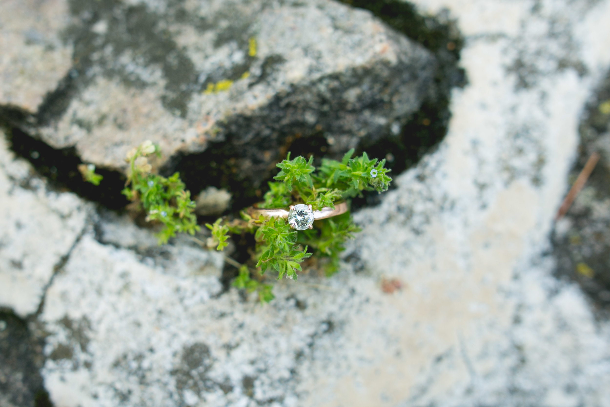  A spring Valley Forge State Park, King of Prussia Pa Queer Engagement session with Alex and Lee by Swiger Photography, Philadelphia's Lesbian Photographer 