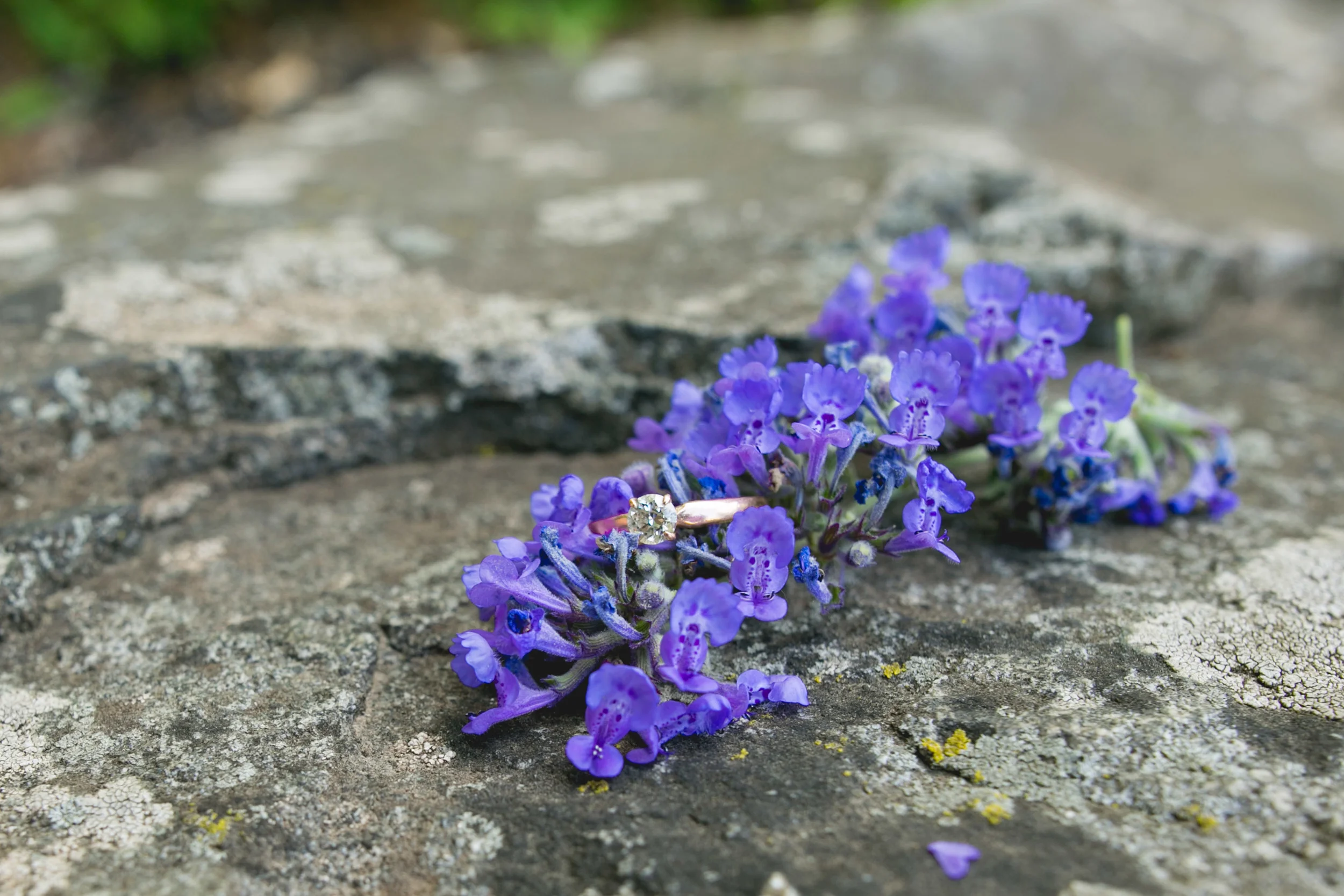 A spring Valley Forge State Park, King of Prussia Pa Queer Engagement session with Alex and Lee by Swiger Photography, Philadelphia's Lesbian Photographer