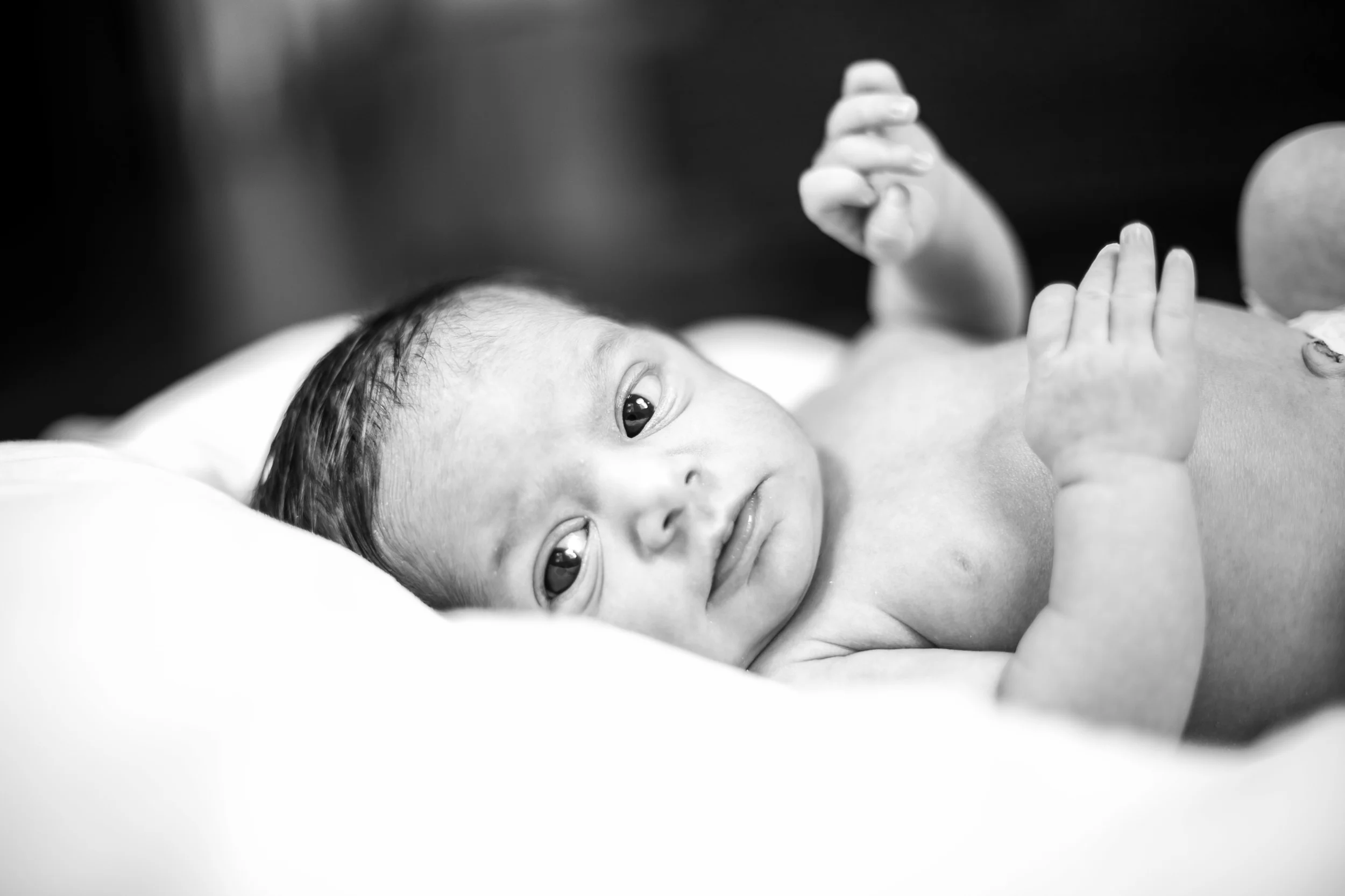 Baker Family - A Philadelphia in home newborn lifestyle session by Swiger Photography. 