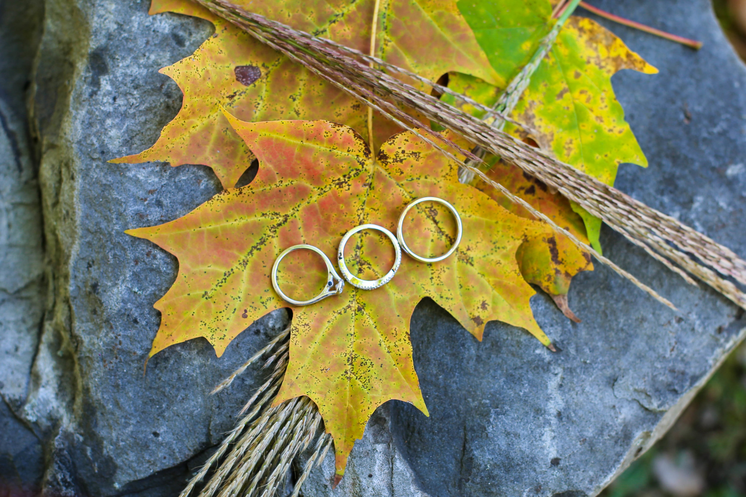 How to get the best ring photos, by Swiger Photography. Favorite Wedding and Engagement Ring Shots