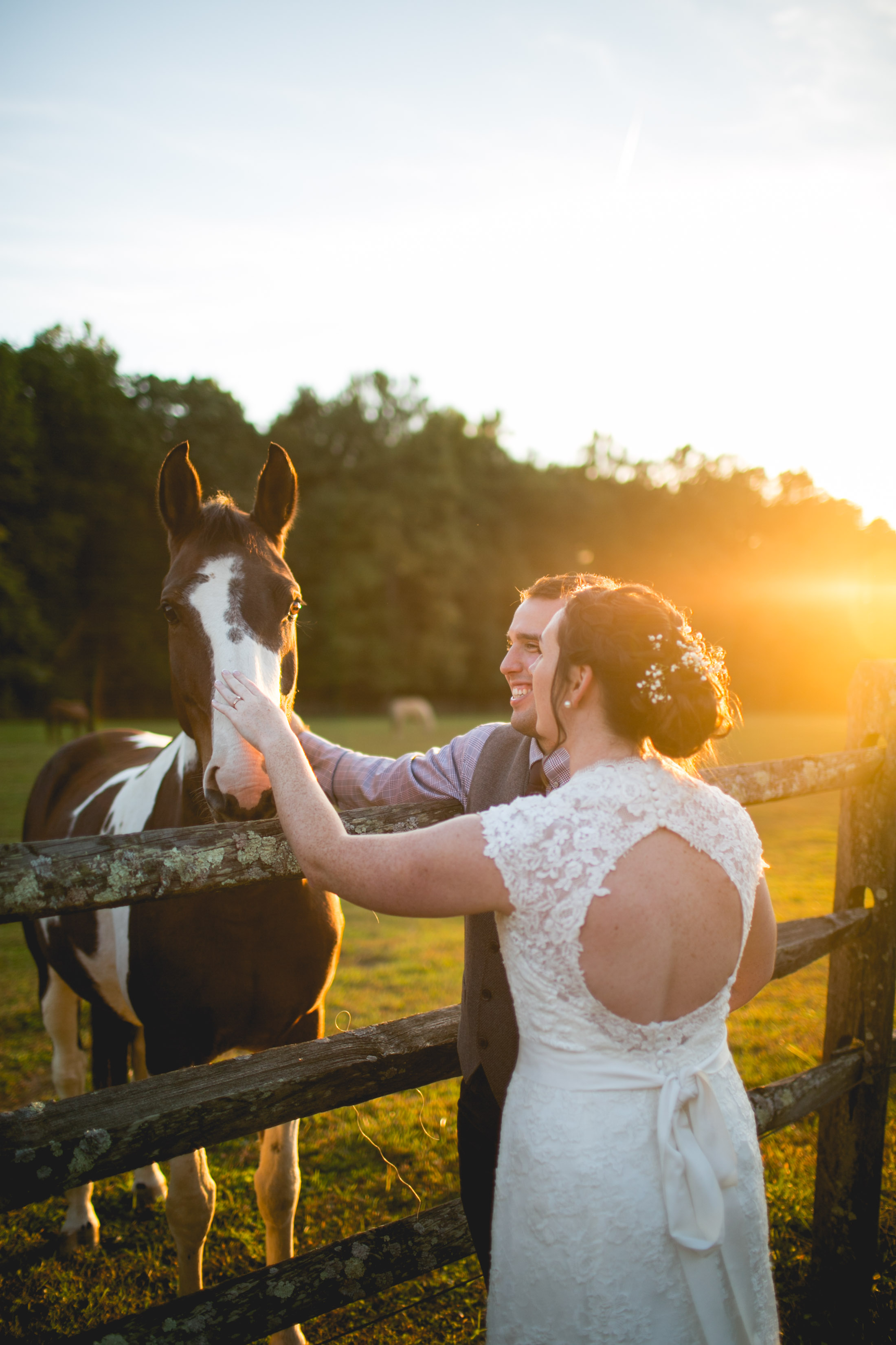 outdoor-rural-wedding-photos-with-horses