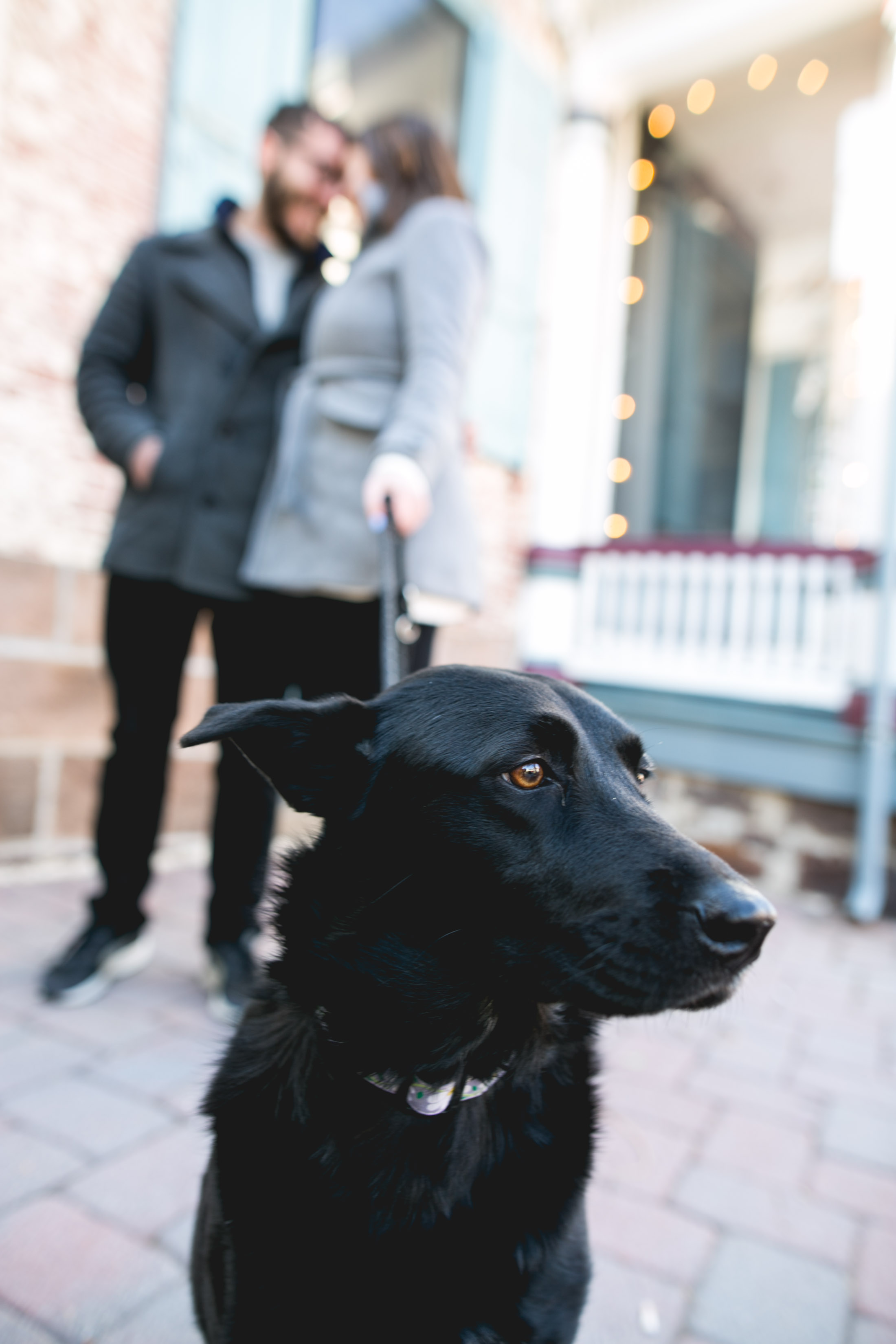 Newtown PA Winter Engagement Session 