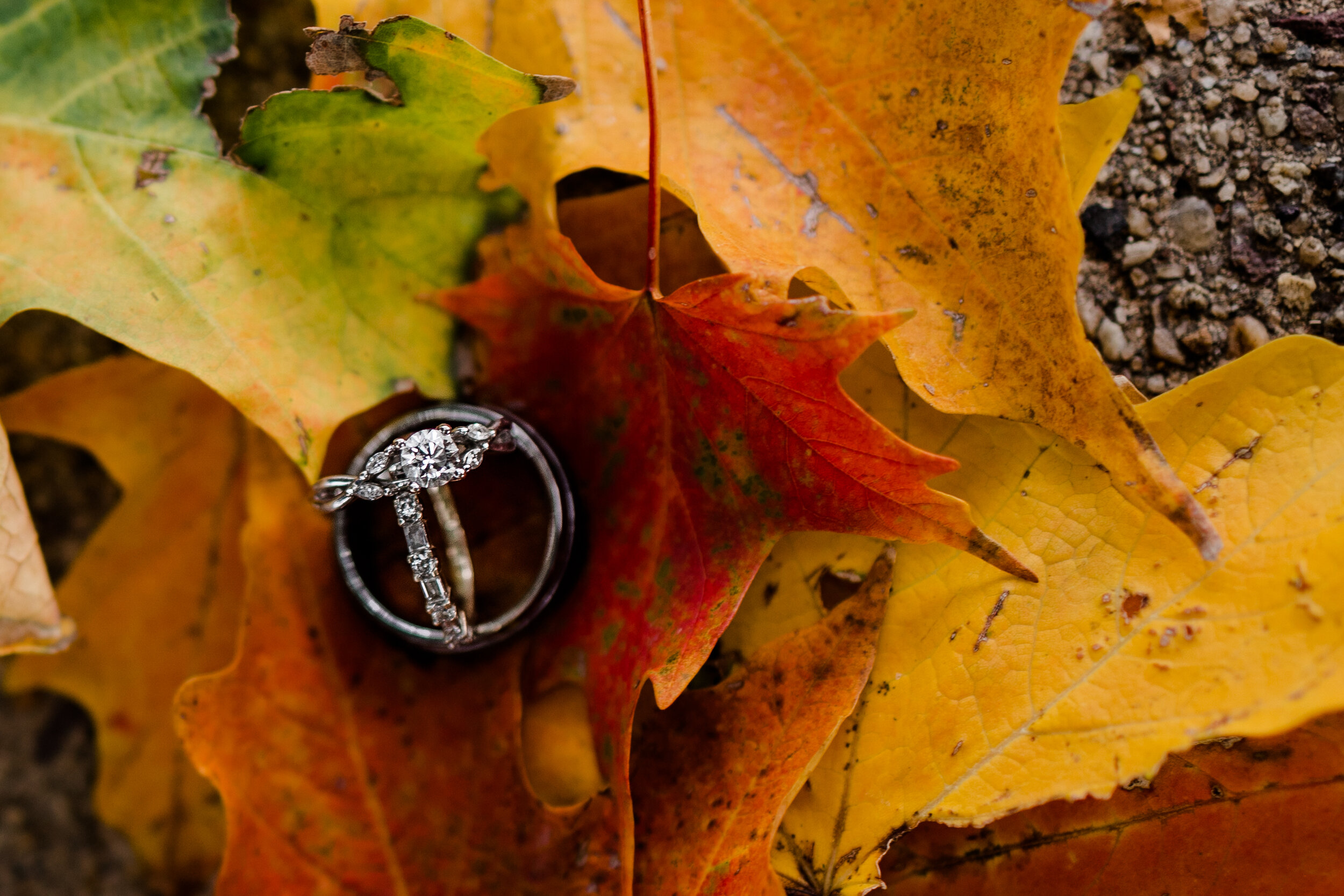 South-Philly-FDR-Park-Fall-Engagement-Session-31.jpg