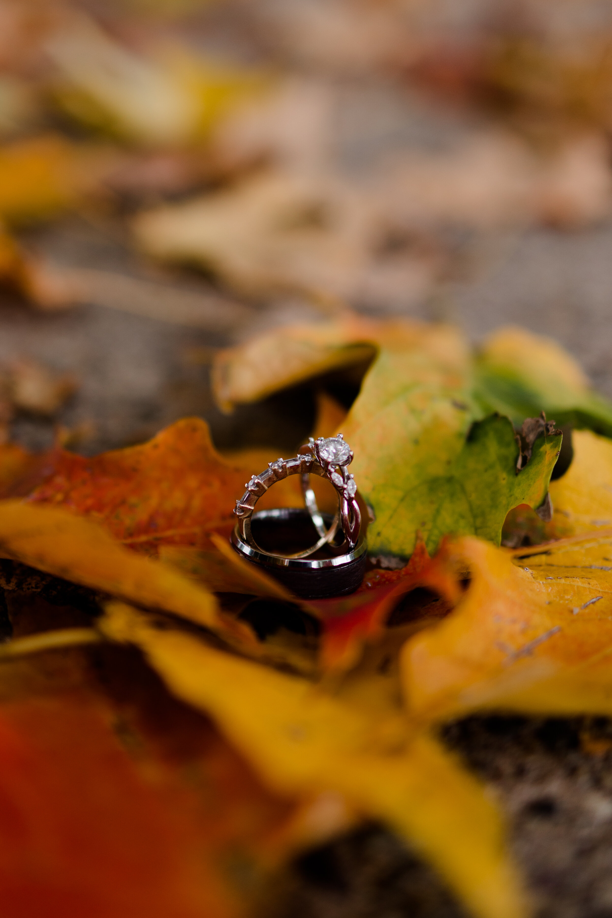 South-Philly-FDR-Park-Fall-Engagement-Session-32.jpg