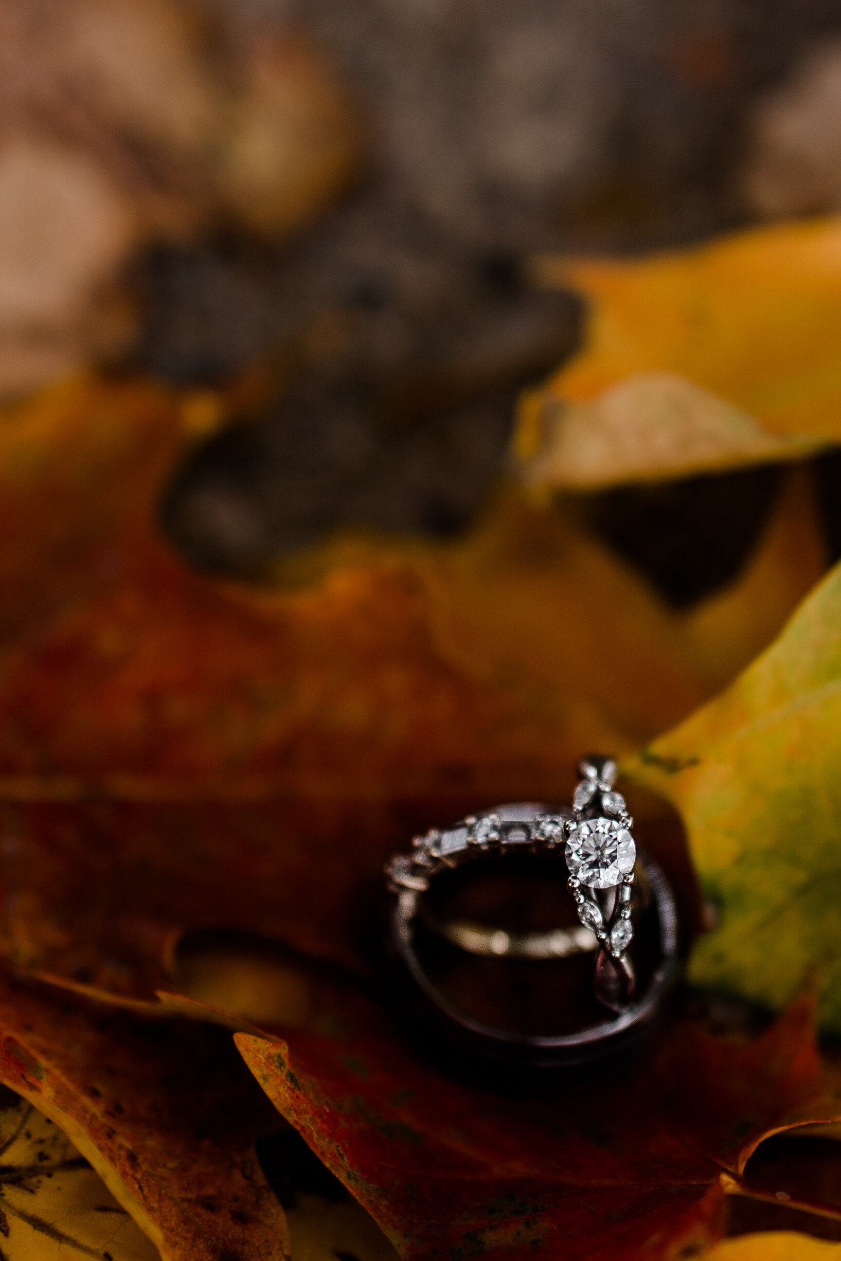 South-Philly-FDR-Park-Fall-Engagement-Session-33.jpg