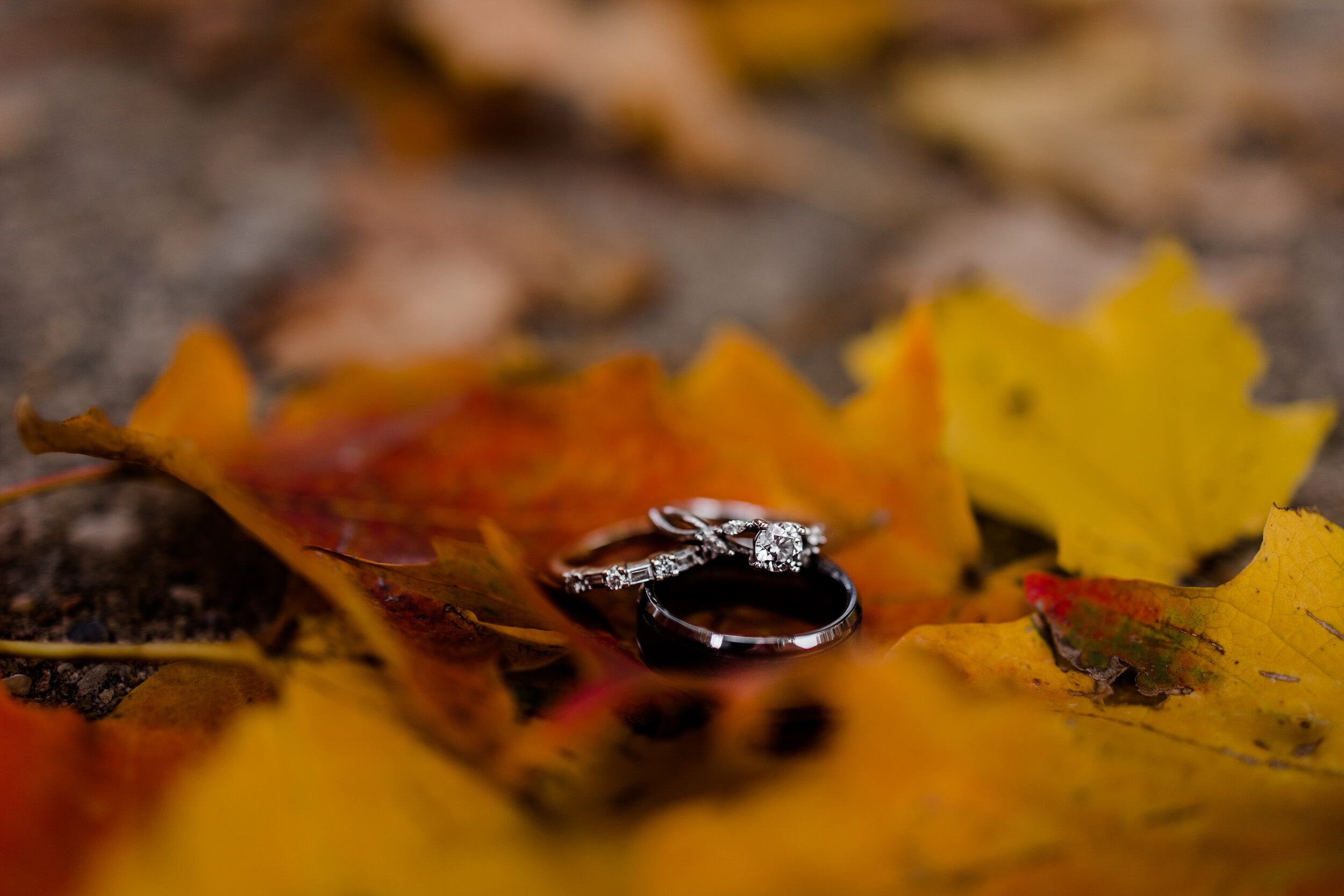 South-Philly-FDR-Park-Fall-Engagement-Session-34.jpg