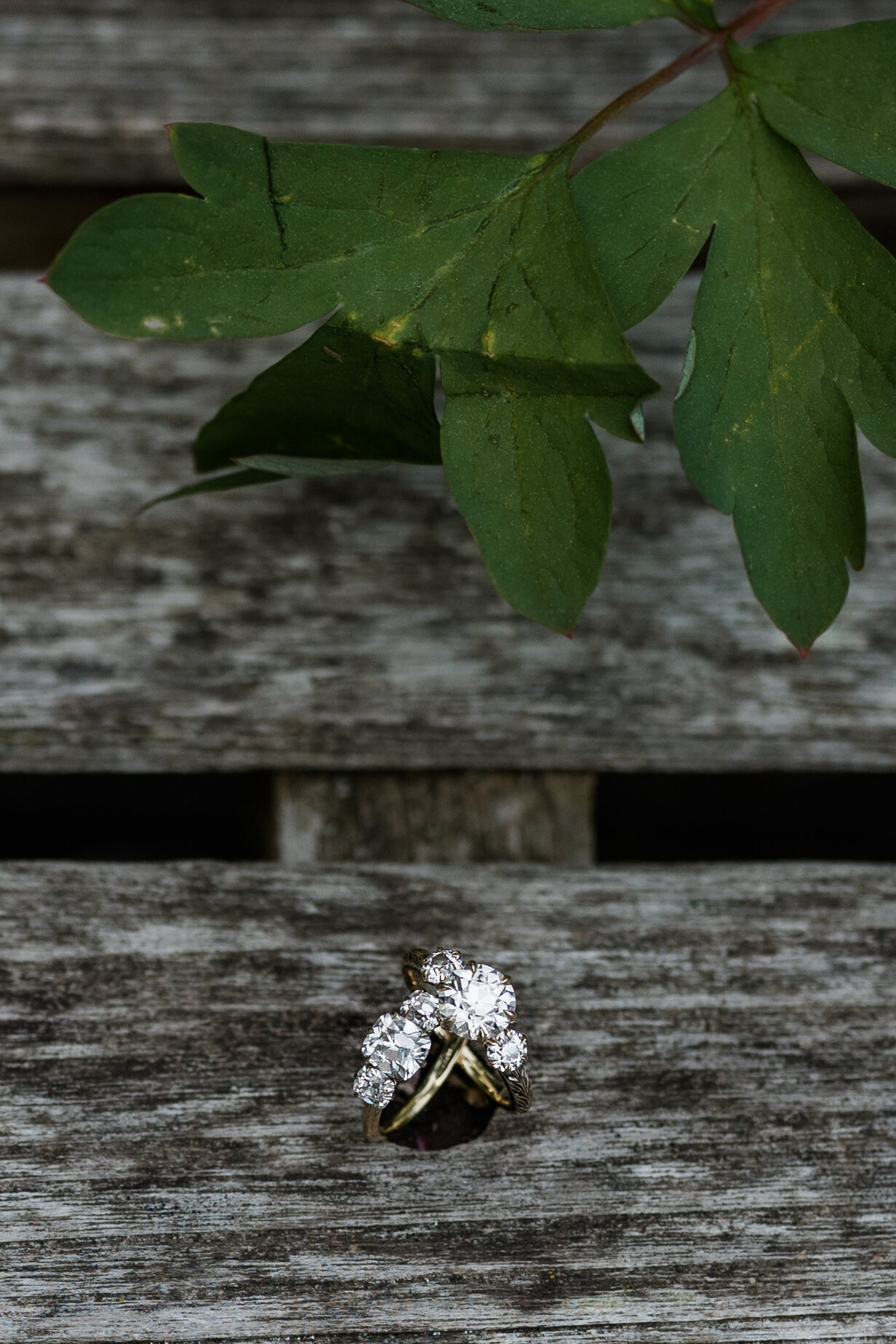 Dorothy-and-Kate-LGBTQ-Longwood-Gardens-Engagement-Session-11.jpg