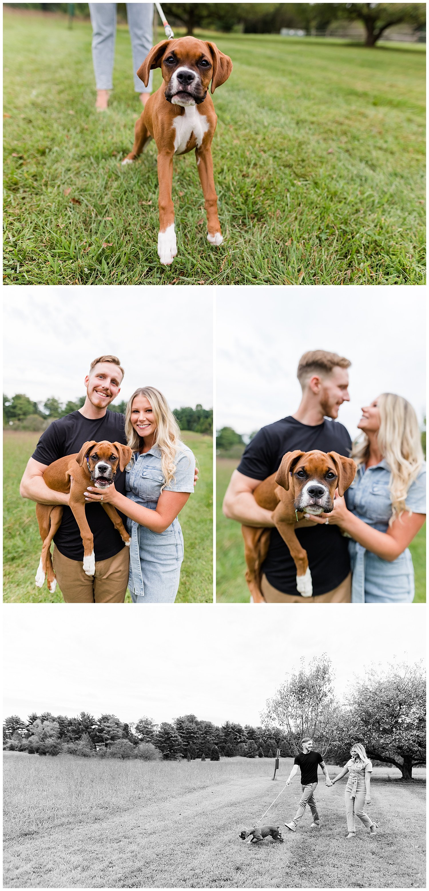 Kennett-Square-PA-engagement-session-with-a-puppy-Longwood-Gardens3.jpg