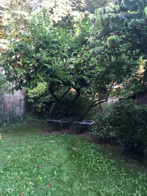 Le jardin de la maison de Lille dont l'embellissement est sans cesse repoussé. Un jour peut-être, un étudiant aux mains vertes viendra... Pour l'instant, deux chaises longues et l'herbe haute ne manquent pas de charme et en disent long sur l'esprit de la Maison de Lille ! The garden is pruned very rarely and it never fails to grow back, even more wild than before. Maybe one day a student with a green thumb will tame it, but until then it shows the persistent spirit of the Lille house !