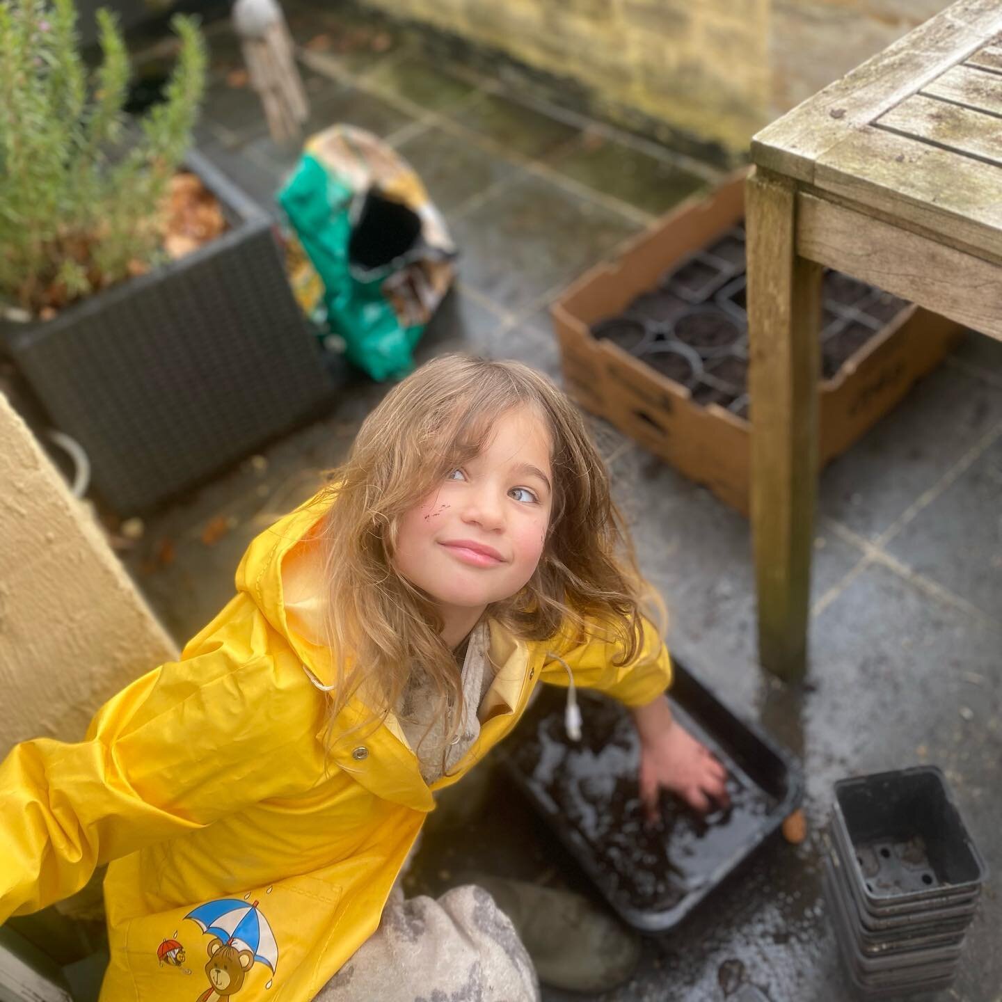 Mud is not only the root of the lotus flower (see previous post) it is also fun to play with mud 😀 my daughter planting the pale-leaf woodland sunflower (zonnewortel). The roots are edible roots like the Jerusalem Artichoke (aardpeer).