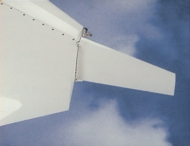 wing tip vane