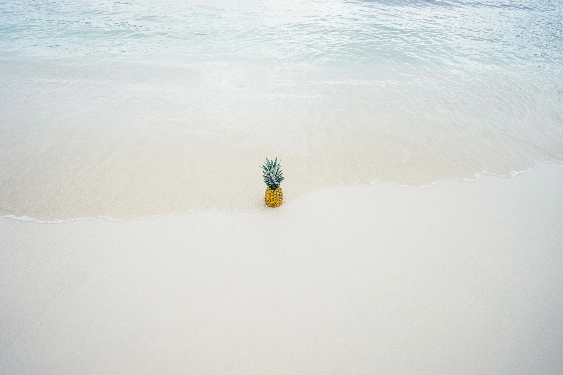 pineapple-1209141_1920.jpg