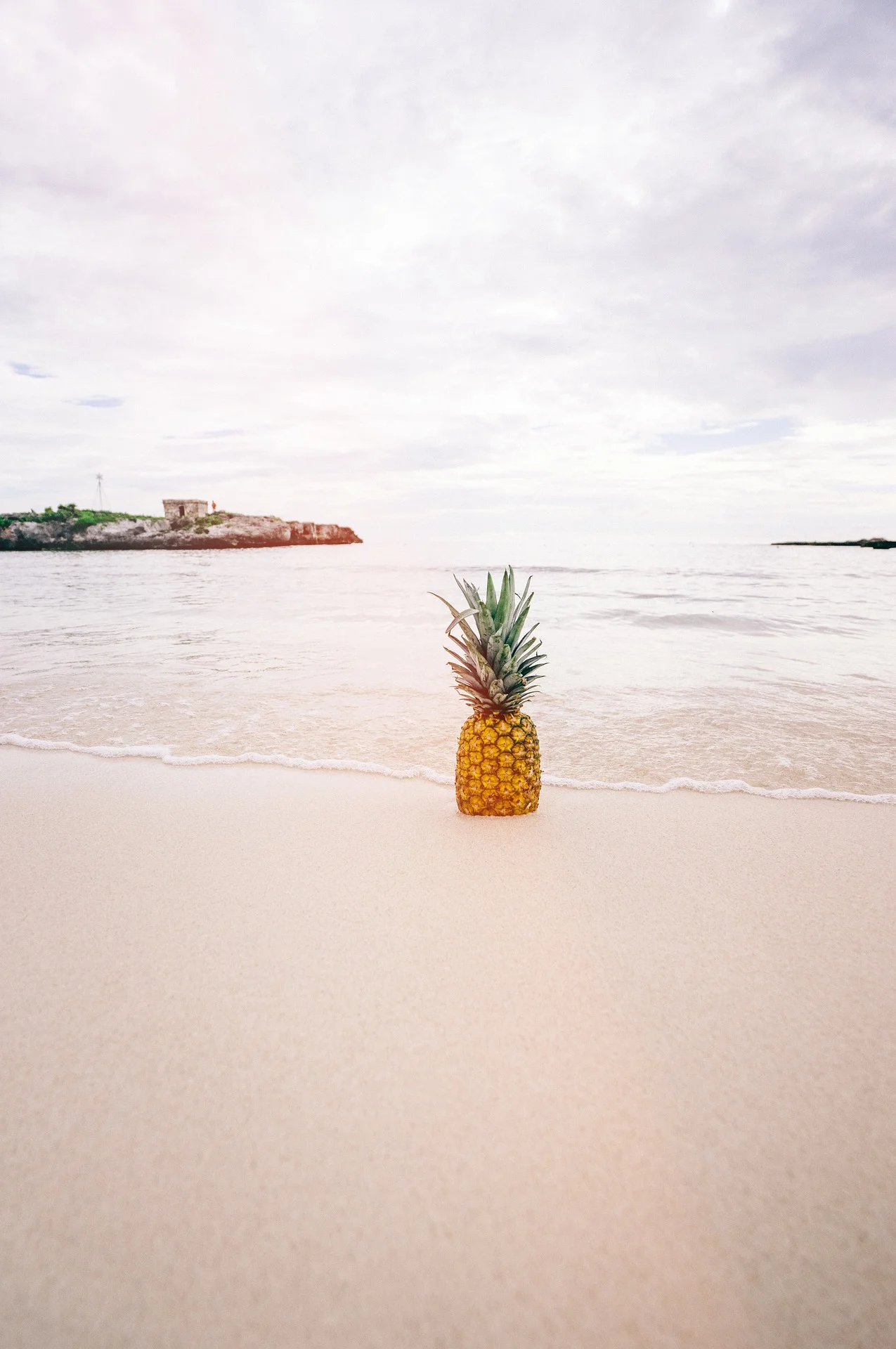 pineapple-1209190_1920.jpg