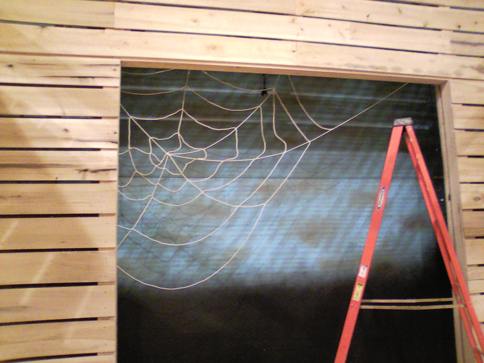  The actual webbing of  Charlotte's Web , which I produced. 