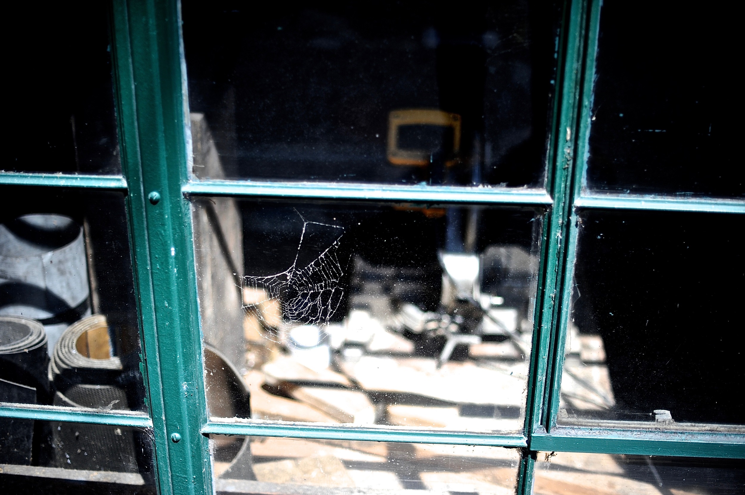 spiderweb in window