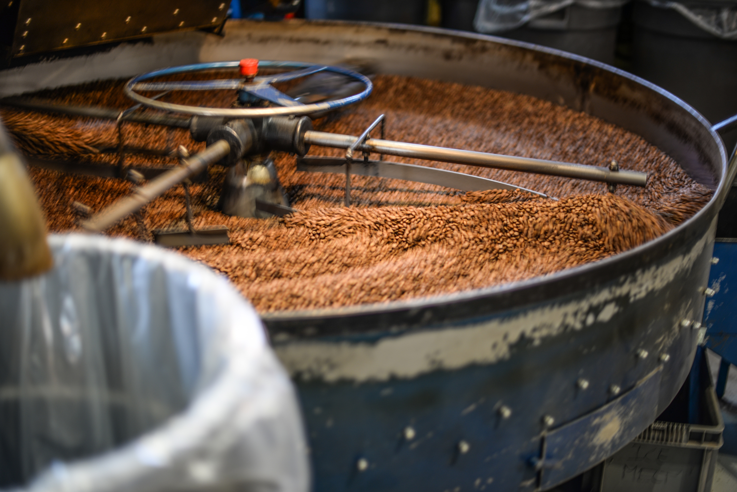 coffee processing