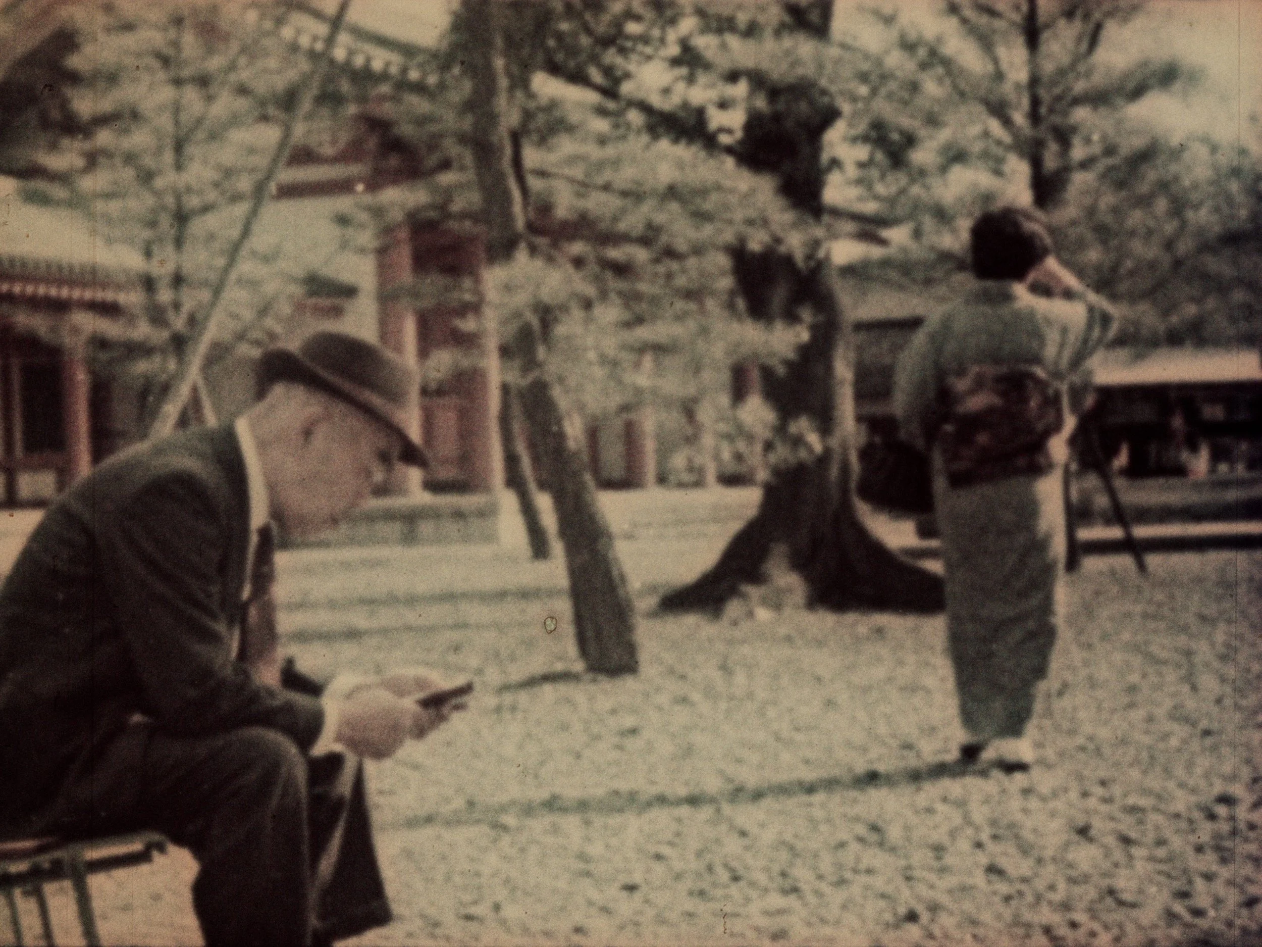 DW_Japan0.jpeg