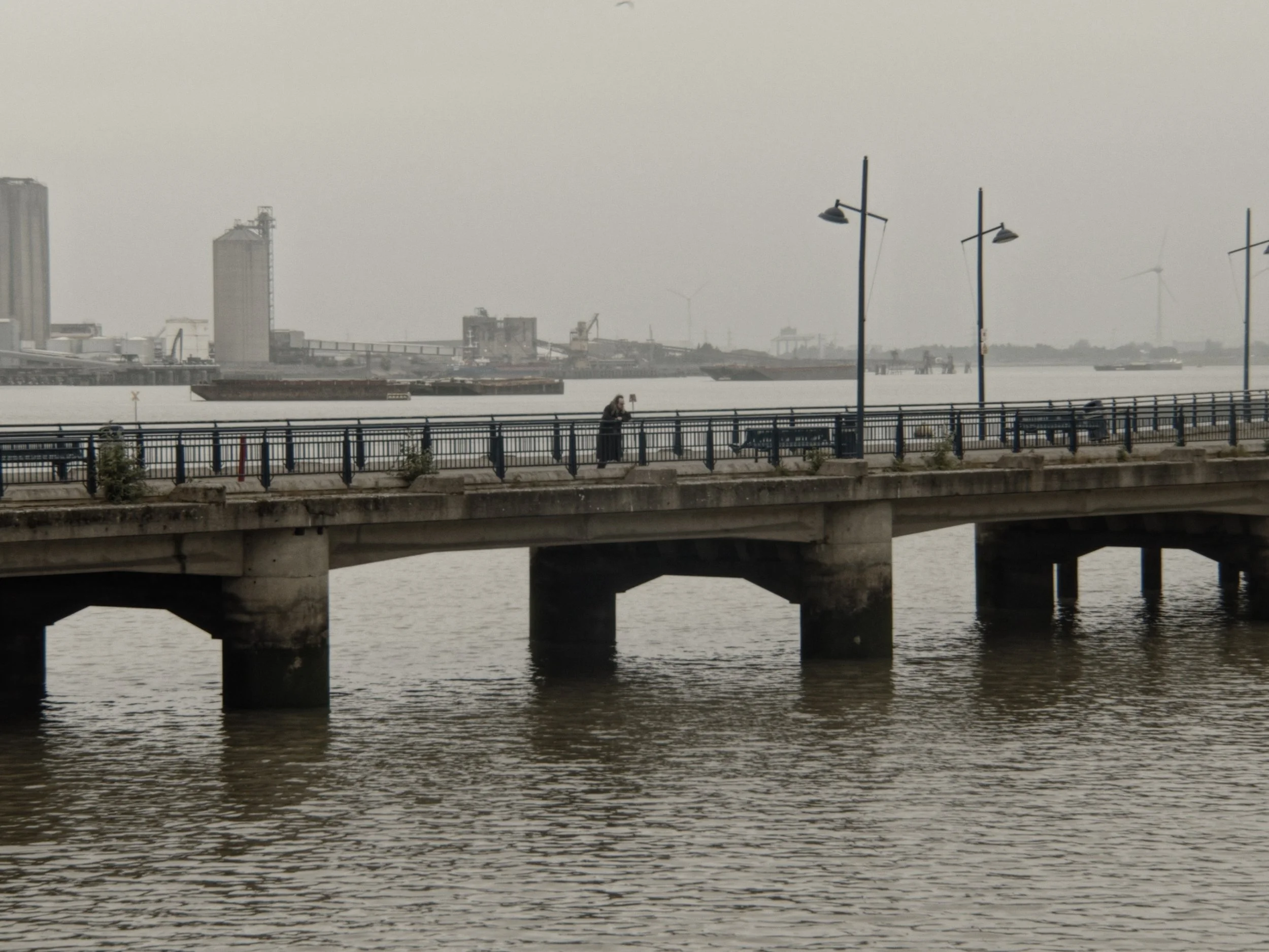 DW_bridge0.jpeg