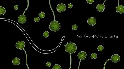 MyGrandmothersLingo.jpg