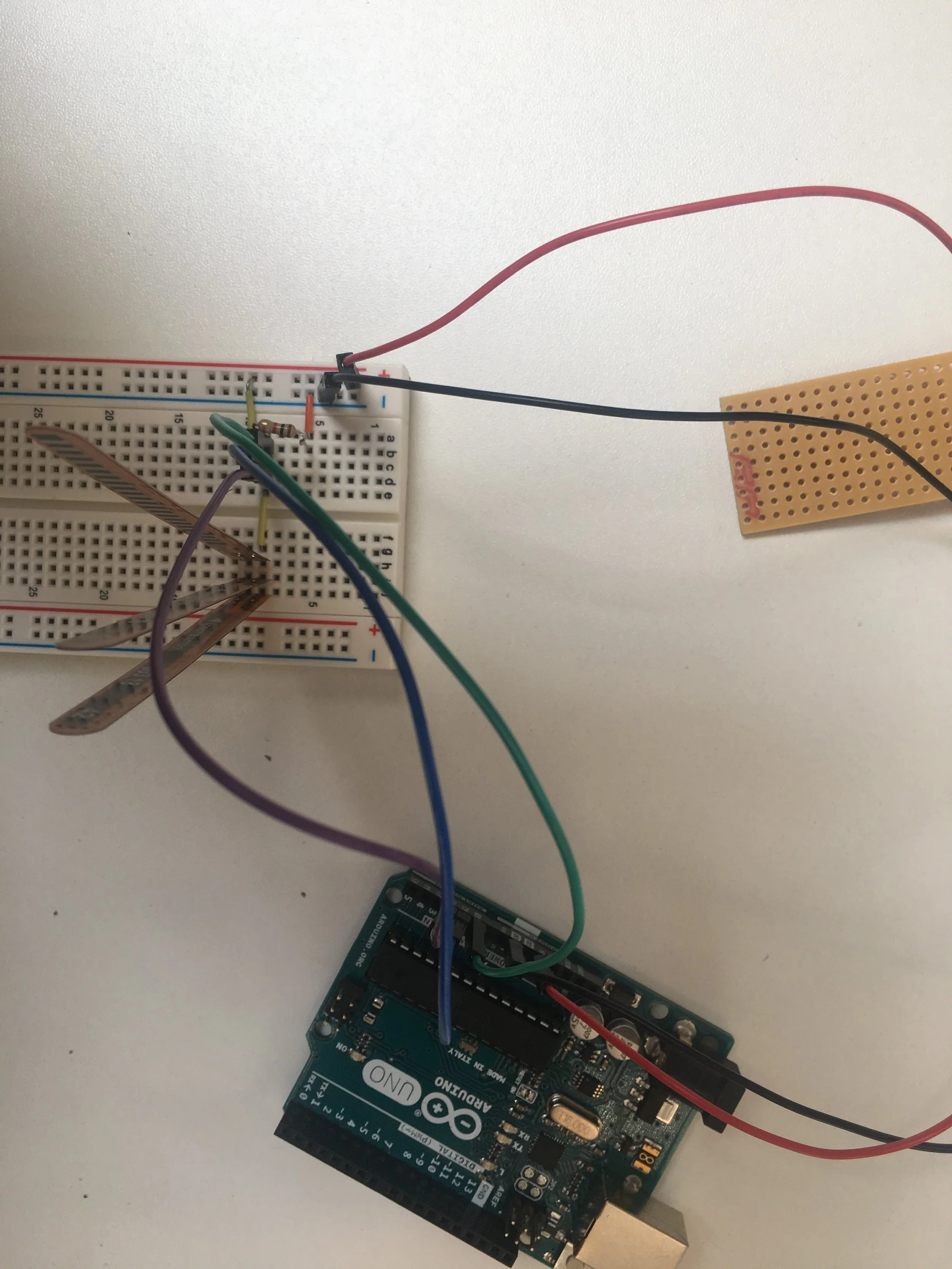 FlexBreadboard.JPG