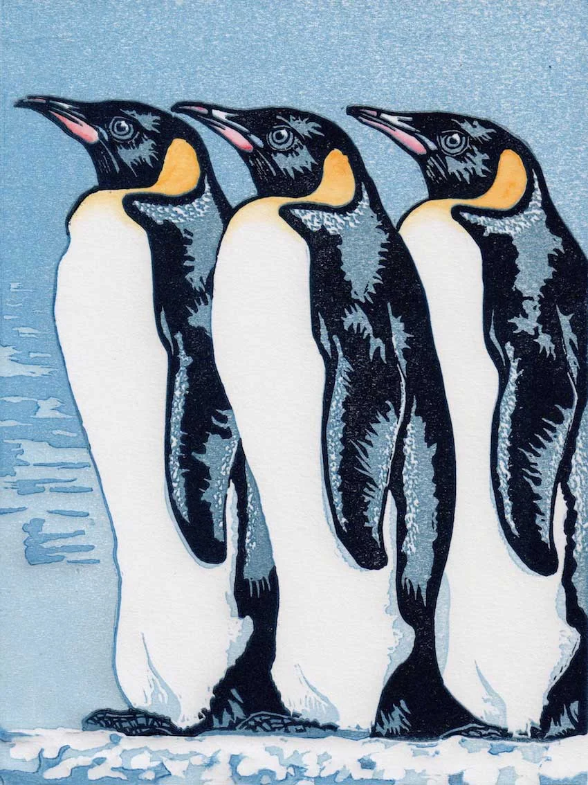 emporer-penguins.jpg