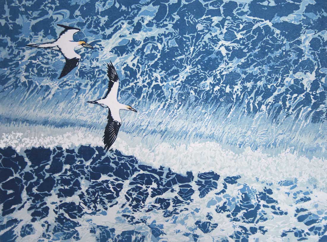 gannets-from-bempton-cliffs.jpg