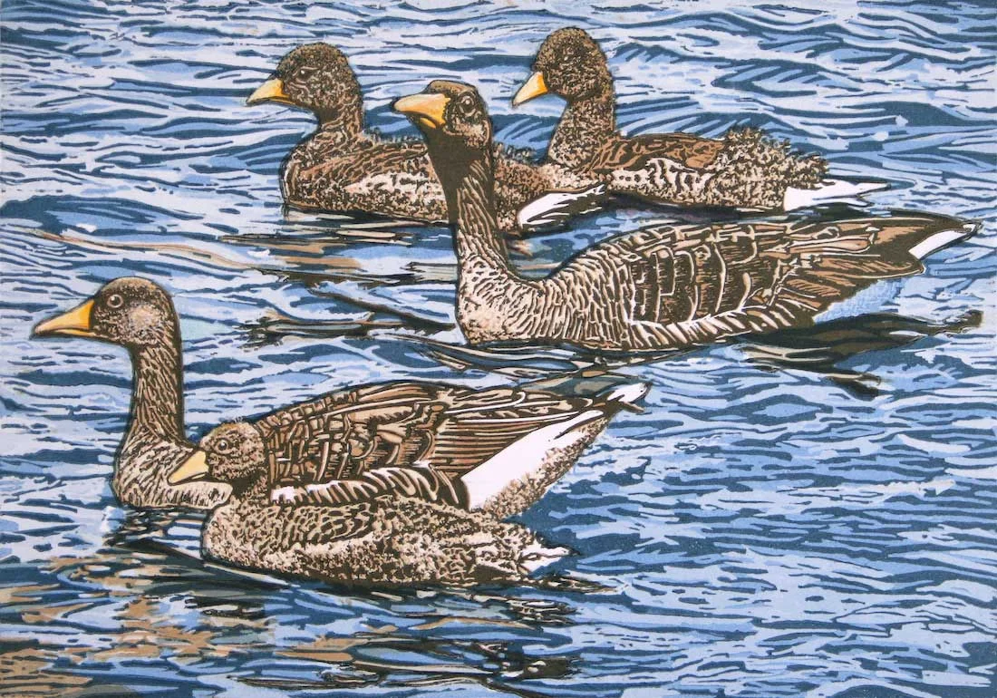 geese-swinsty-reservoir.jpg