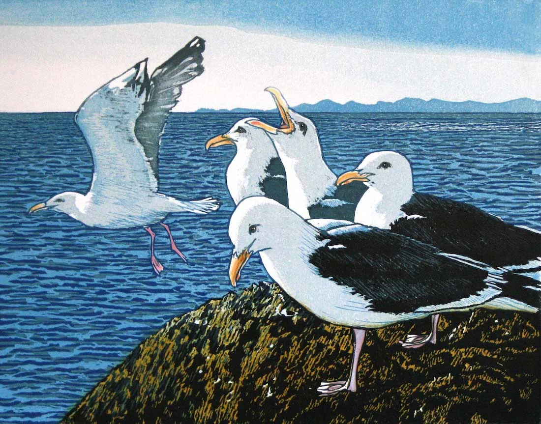 gulls-on-the-menai-straits.jpg