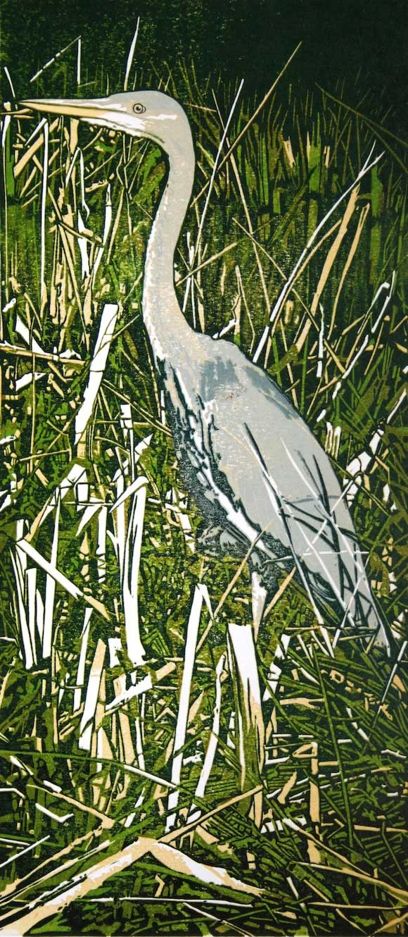 heron.jpg