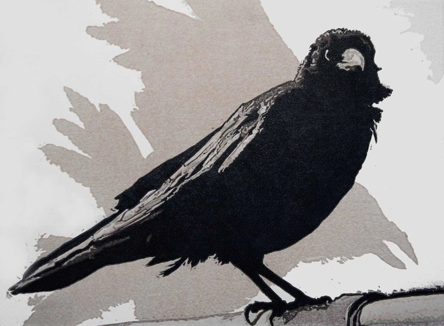 black-crow.jpg