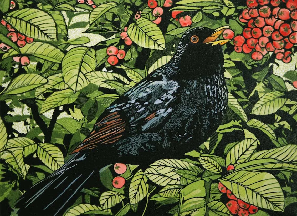 blackbird-in-a-bush.jpg