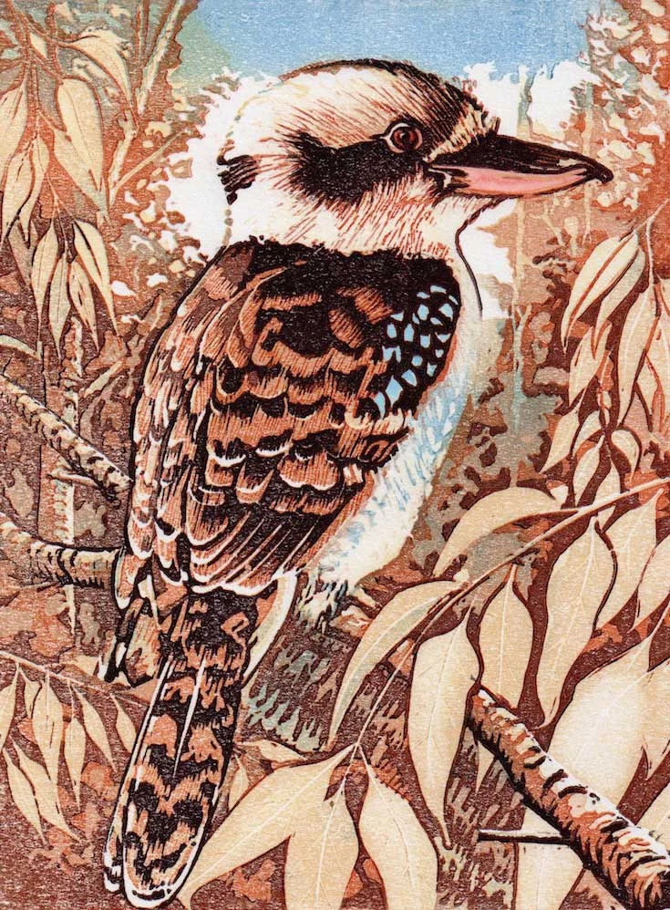 kookaburra.jpg