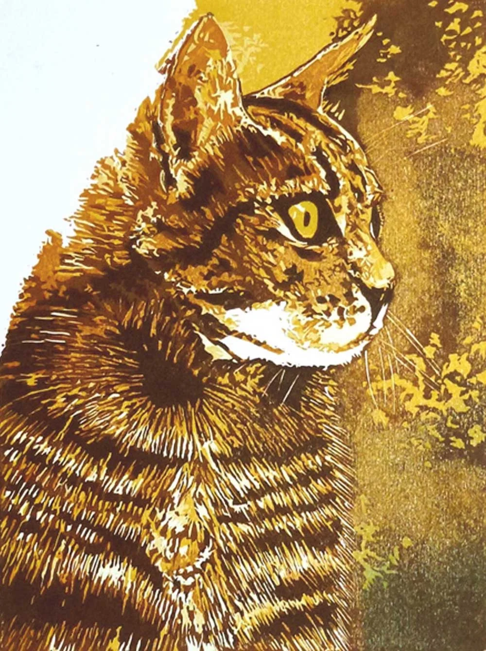 tabby-cat-portrait.jpg