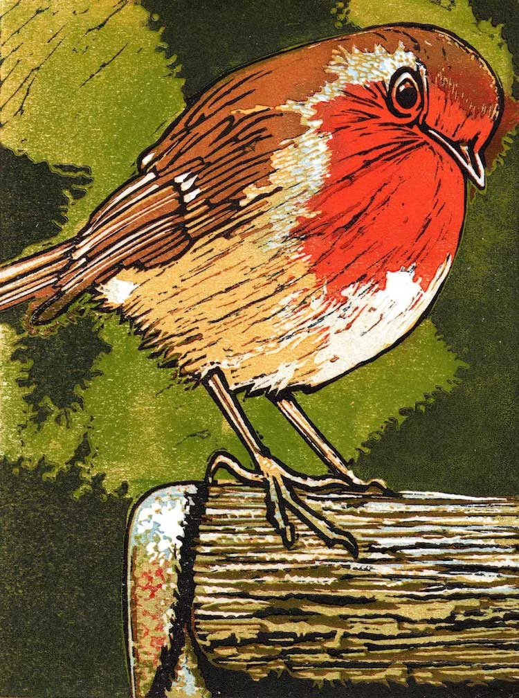 GARDEN BIRDS